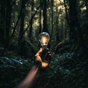A hand holding a light bulb in the forest.