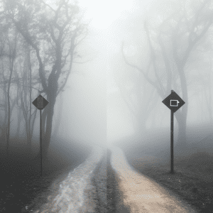 A road in a foggy forest.